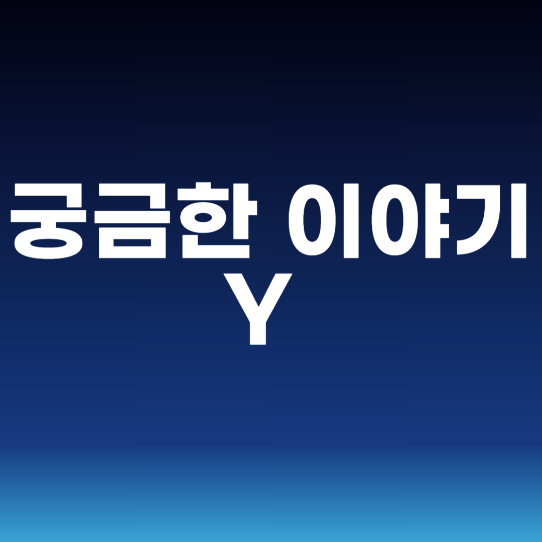 궁금한 이야기 Y