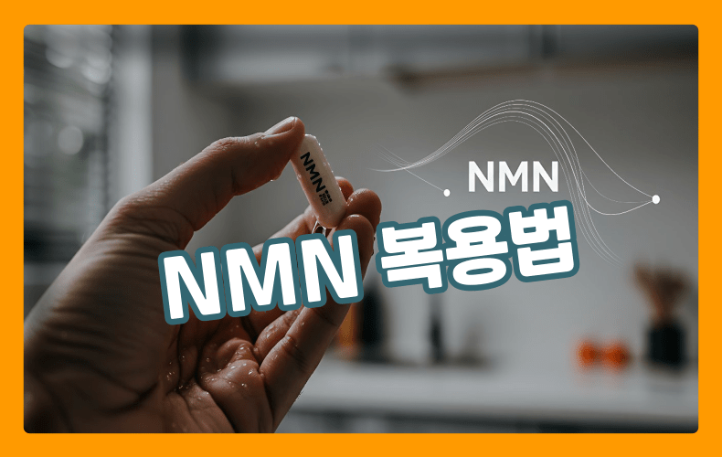 NMN 영양제 표현