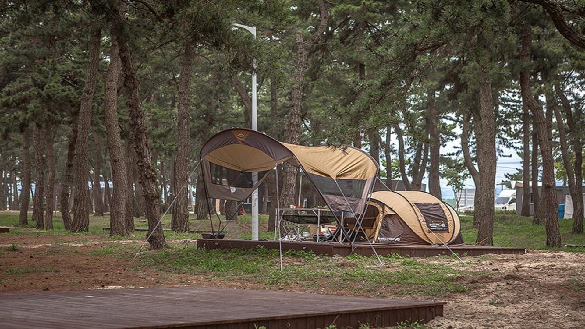 강릉시 연곡 해변 솔향기 오토 캠핑장 바로가기