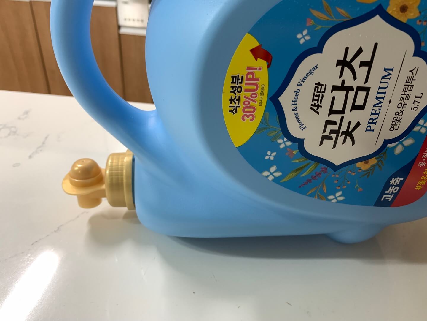 꽃담초