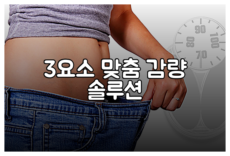 3요소 맞춤 감량 솔루션