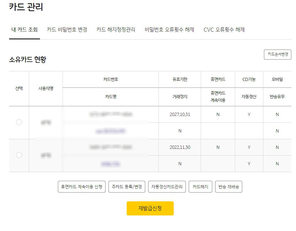 KB국민카드-홈페이지-소유카드현황