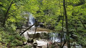 여름에 걷기 좋은 숲길 10