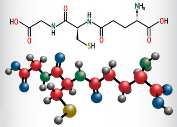 글루타치온 효능, 부작용, 간 해독, 독소 제거 모든 것!