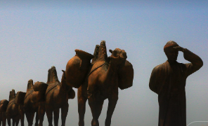 암 표준치료 긴 여행