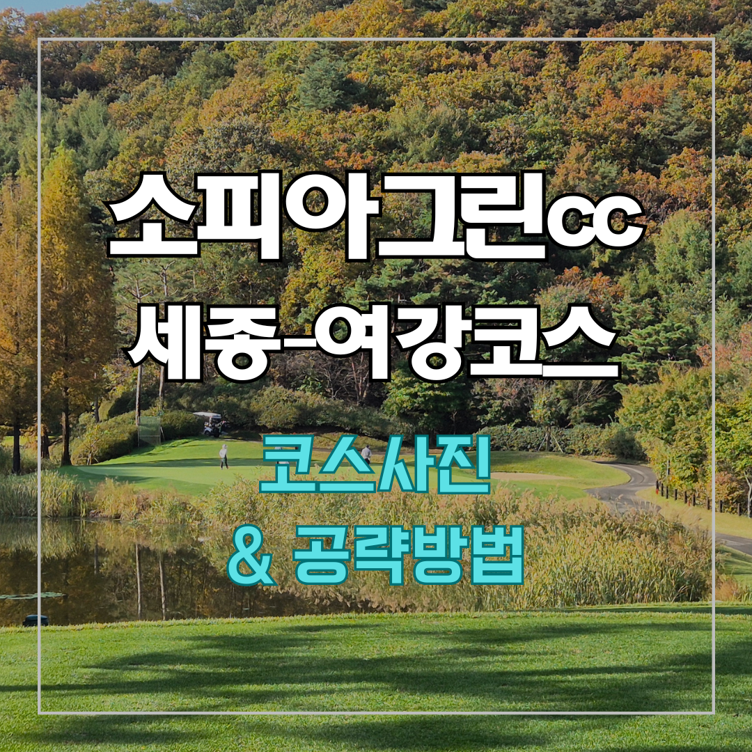 소피아그린cc