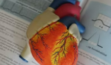 고혈압 원인, 고혈압 증상, 고혈압 기준 총정리