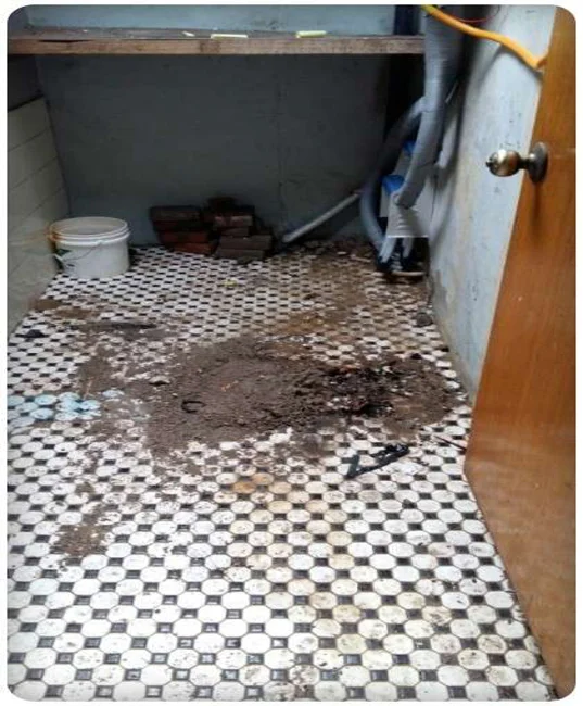 에브리입주청소