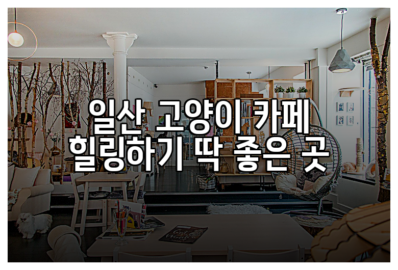 일산 고양이 카페 힐링하기 딱 좋은 곳