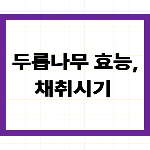 두릅나무 효능, 채취시기 —참두릅·땅두릅·개두릅종류별 차이·채취 황금 시기 완벽 정리