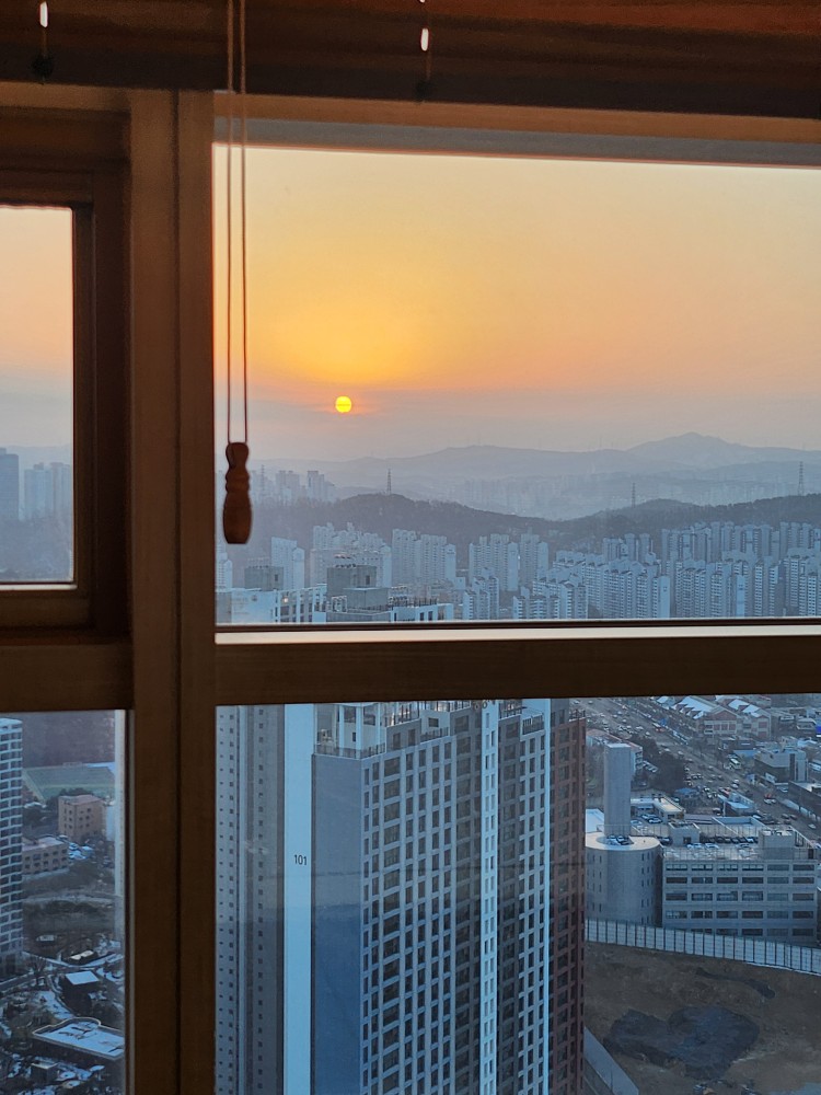 검진센터 뷰