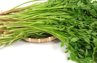 미나리 세척방법