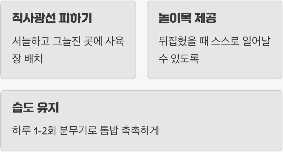 이것만은 꼭! '관리'의 핵심 포인트