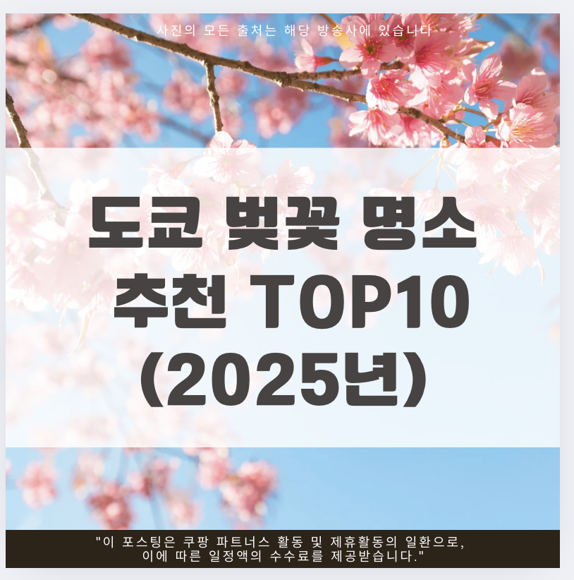 도쿄 벚꽃 명소 추천 top10 (2025년)