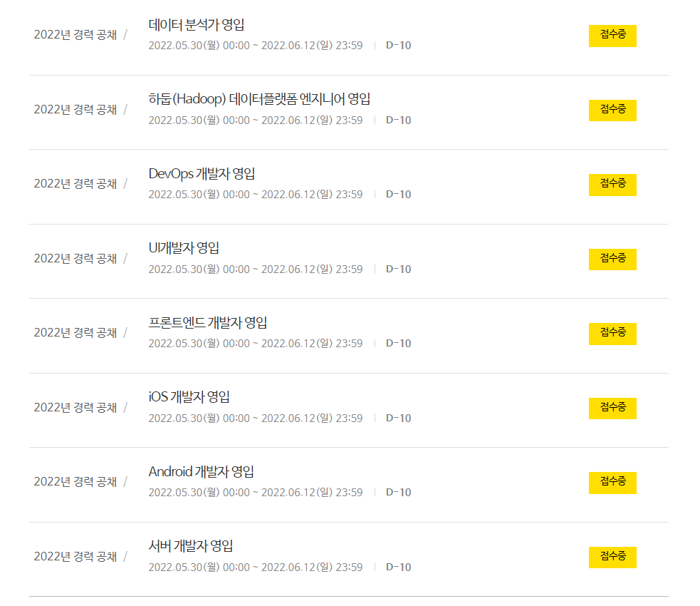 카카오페이 채용 - 채용 분야