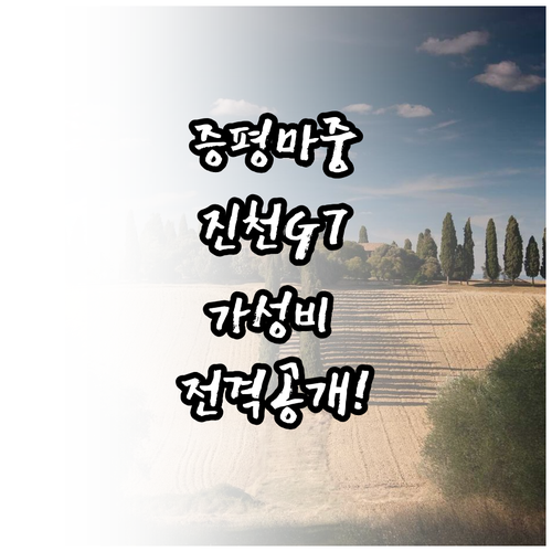 증평 마중 진천 G7 깨끗한 가성비 ..
