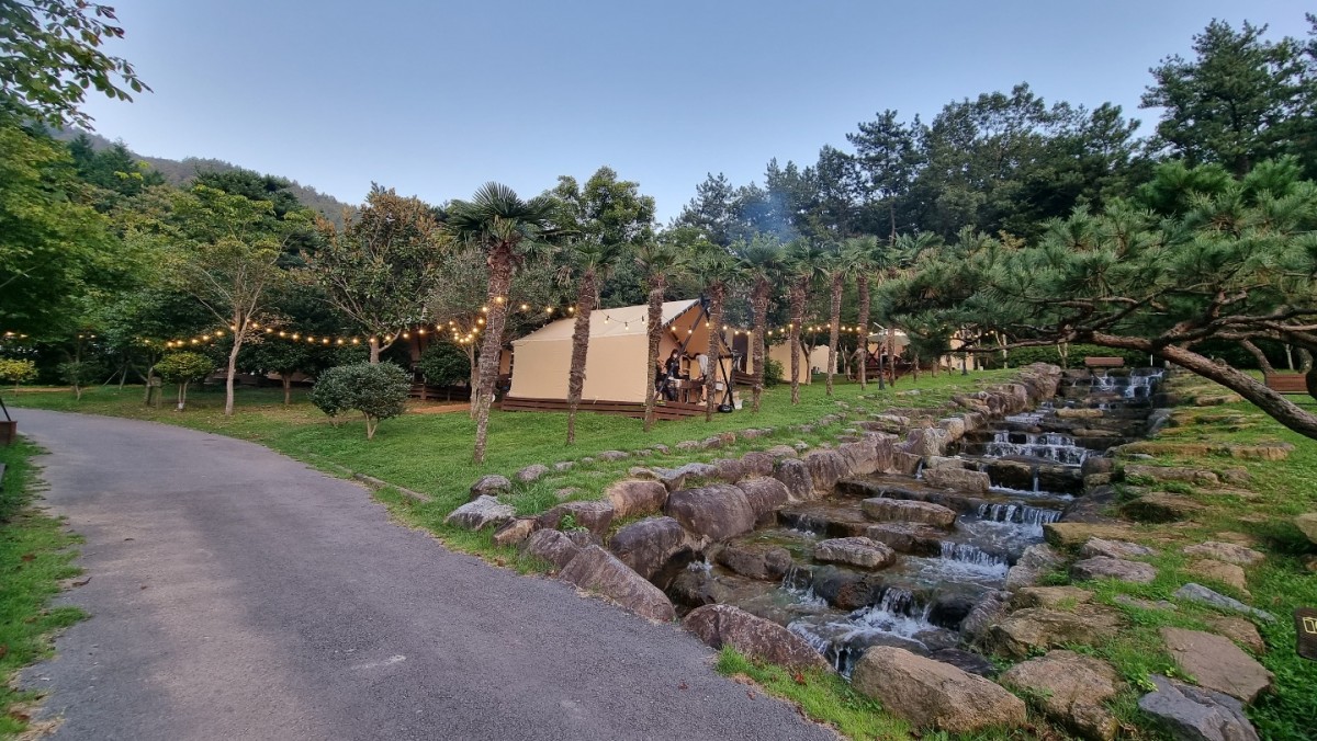 장흥 하늘빛수목원 튤립축제