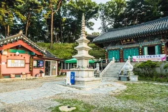 오산 가볼만한곳 맛집 카페 추천 반려견 사진 명소_7