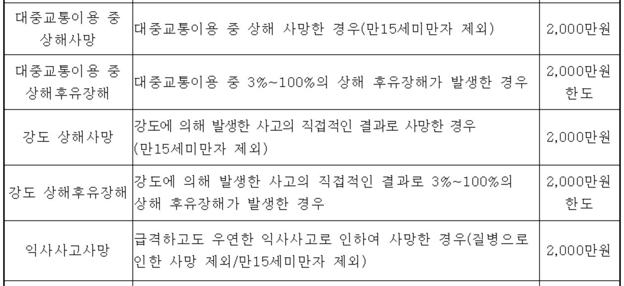 무안군 군민안전보험