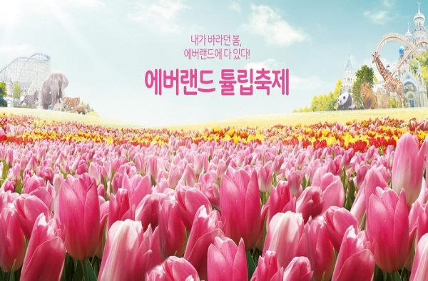 형형색색의 튤립꽃을 핀 모습의 포스터