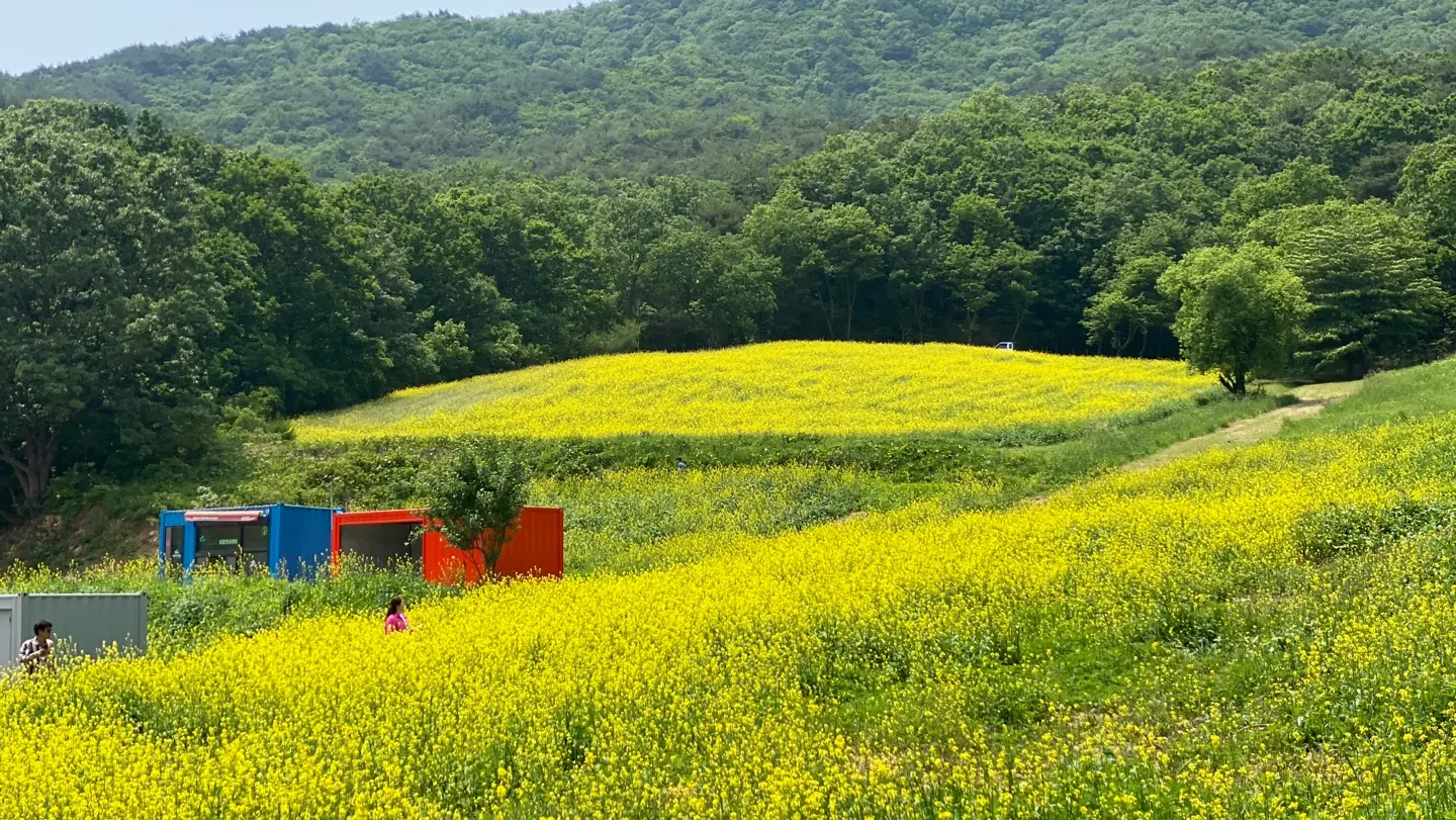 영남알프스-숲페스타-최근사진