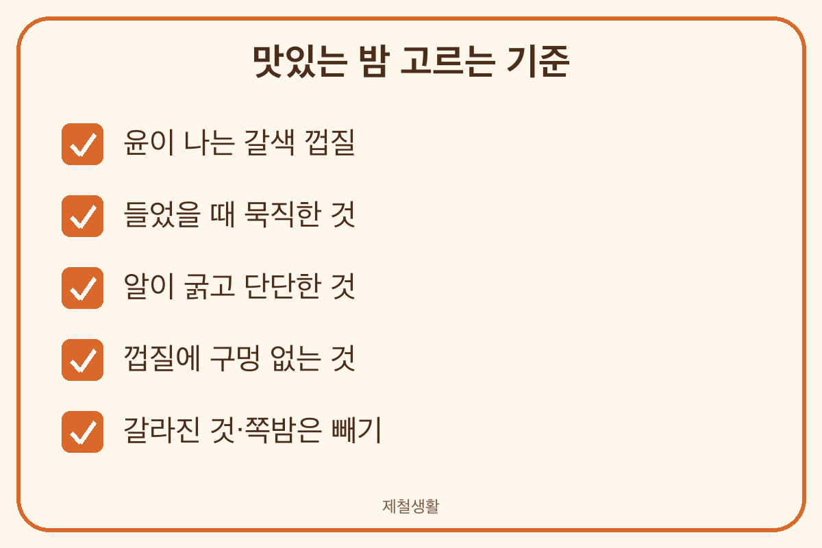 밤 고르는 법 윤기 나는 갈색 묵직하고 구멍 없는 밤