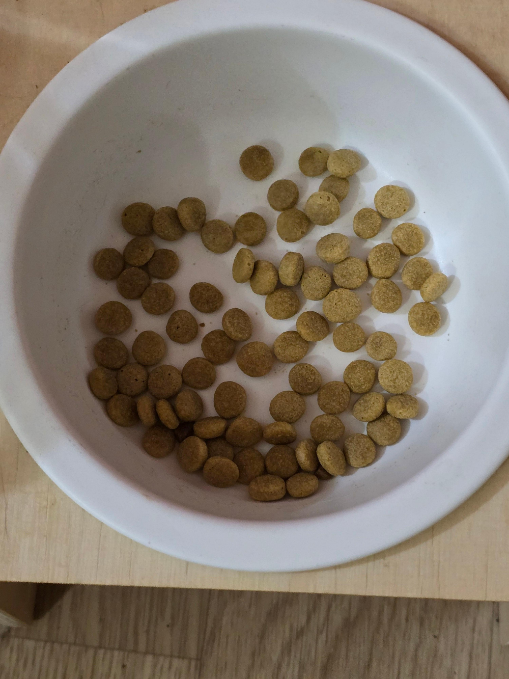 밥이보약 알맞은 체중9