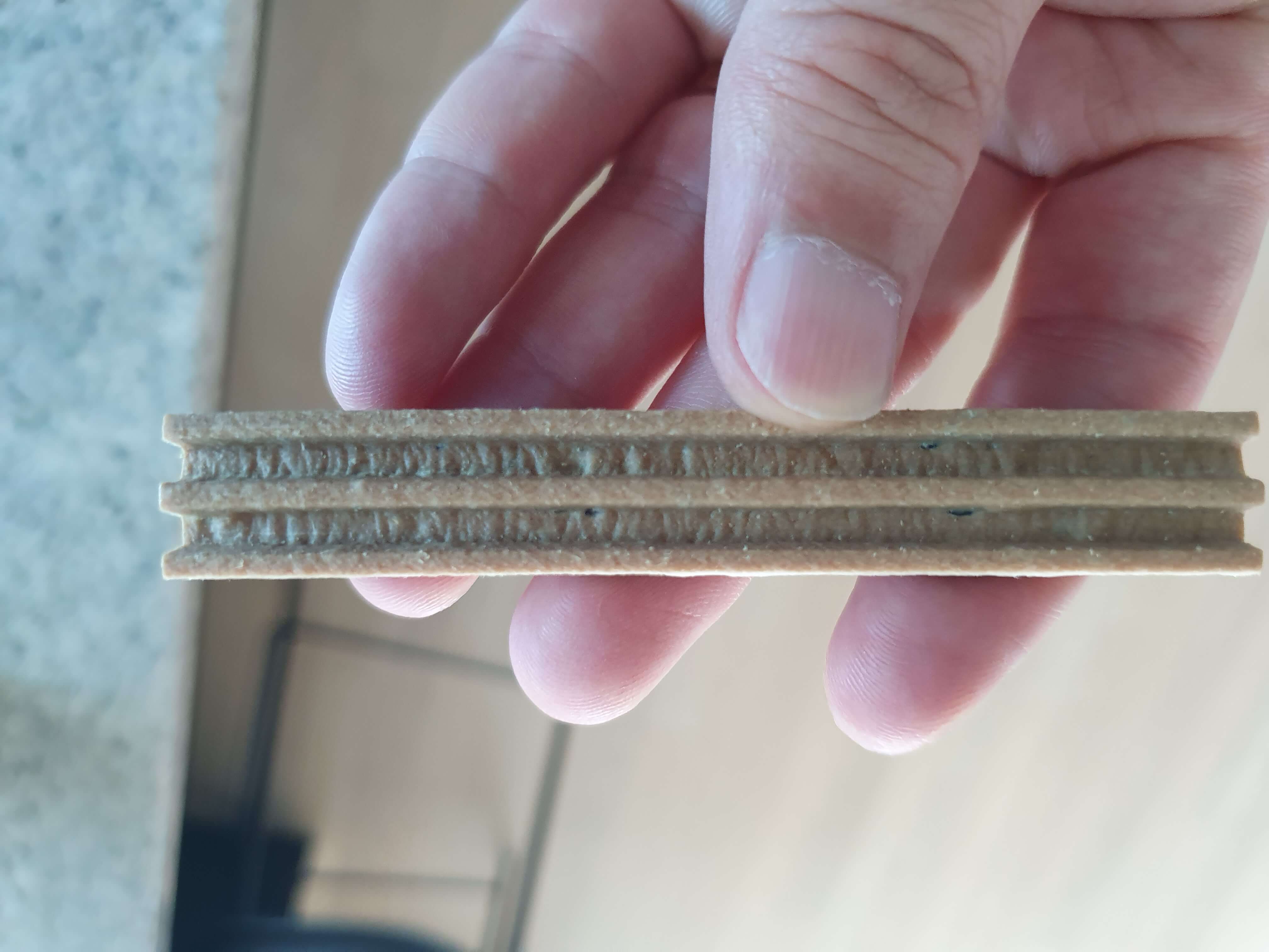 강아지-구강관리