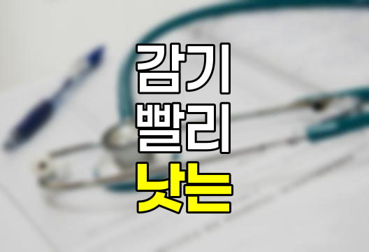 감기 빨리 낫는 방법 7가지 및 증상별 감기약 성분 상세 정보