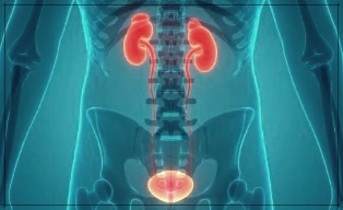 비임상 요도염의 원인과 효과적인 치료 방법.