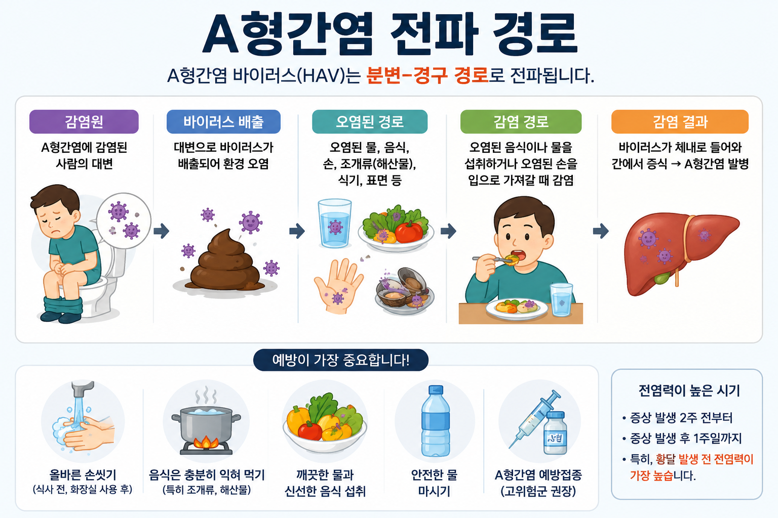 A형간염의 음식&middot;물&middot;해산물&middot;손위생 관련 전파 경로를 설명하는 감염 예방 인포그래픽 이미지
