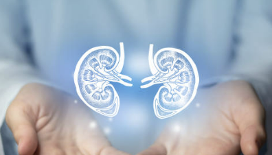 신장에 좋은 음식 7가지 조리법 나쁜 음식 등 총정리(최신)