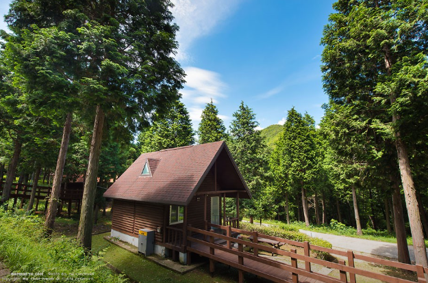 남해 편백자연휴양림