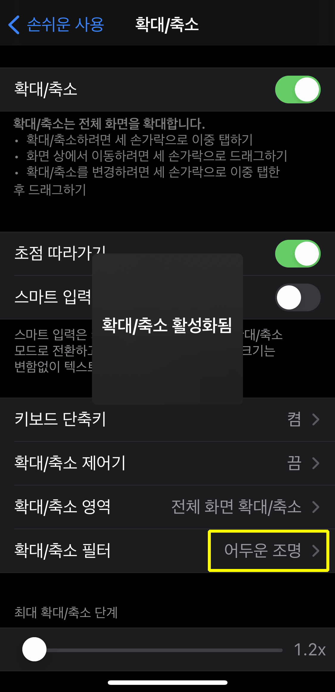 아이폰 설정 - 손쉬운 사용 - 확대/축소 - 어두운 조명