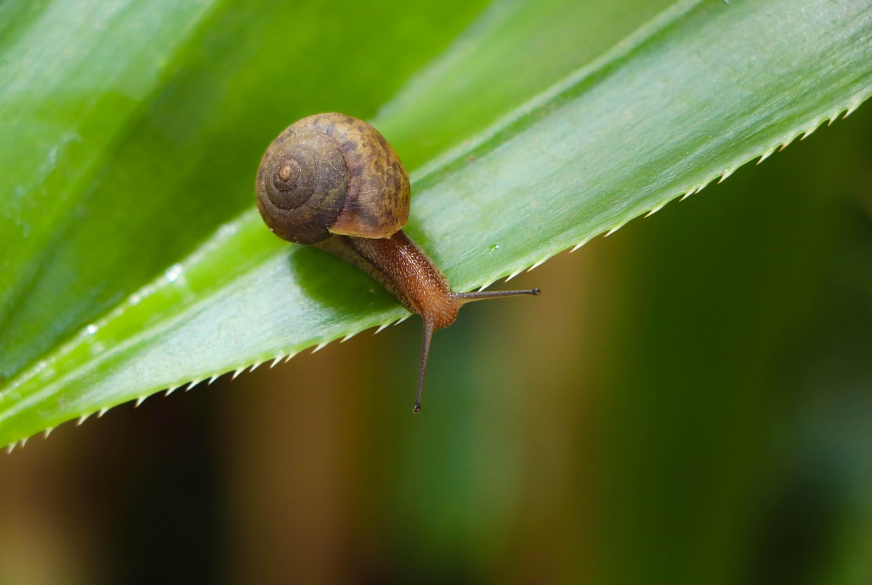 아날로그 취미와 ‘느린 생산성’의 상관관계