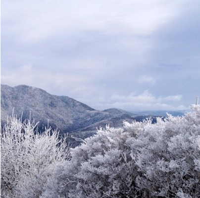 구례-지리산-노고단