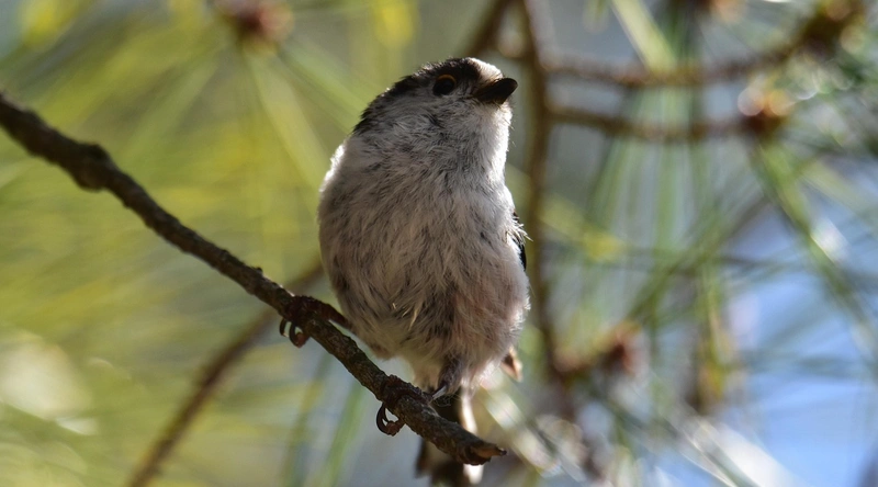 정보처리기사 CBT 시험 준비물