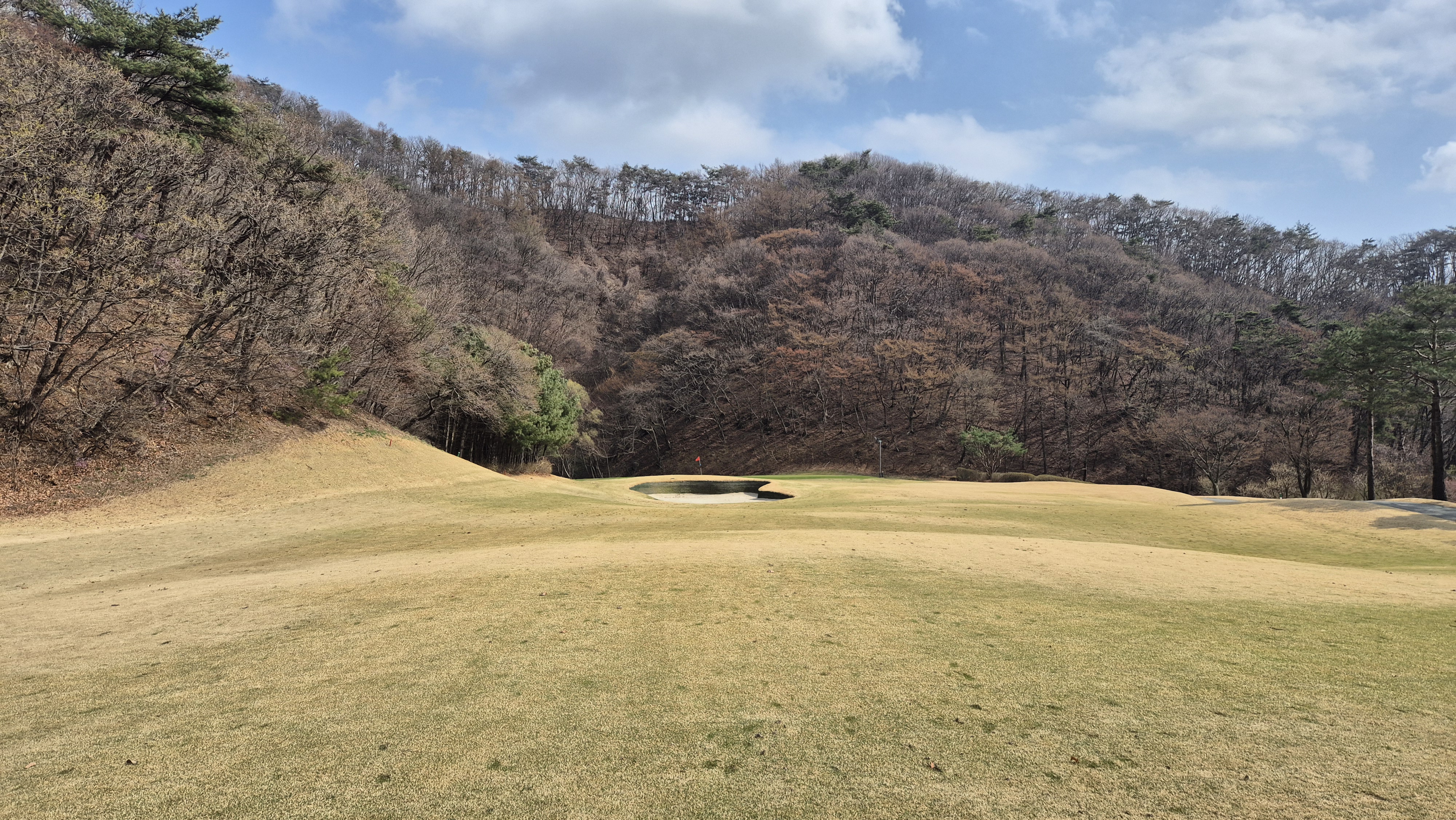 안성베네스트gc 동-남 코스 사진 및 공략 정보