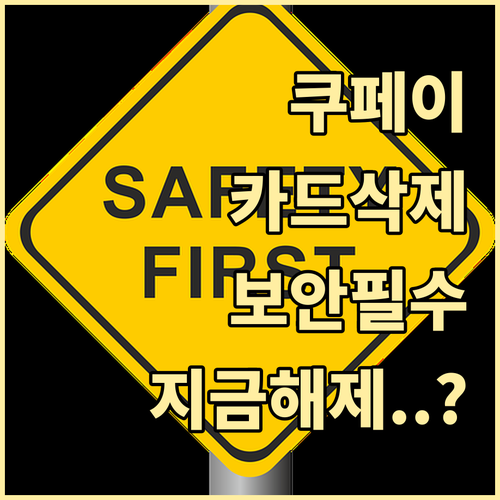 안전한 금융 관리를 위한 쿠팡페이 등..
