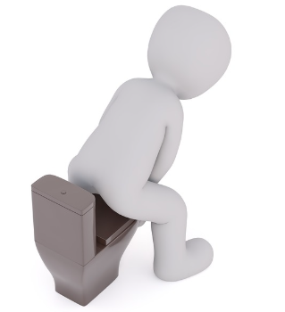 변비 개선과 장 건강 증진