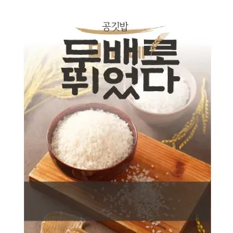 맛있는 쌀 전국 순위, 쌀 품종, 맛있는 쌀 추천_43