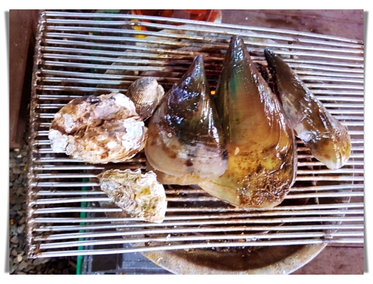 생방송-오늘저녁-굴-조개-무한리필-맛집-경남-창원-맛집