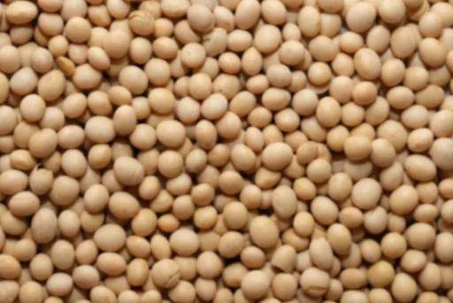 공복채소섭취, 공복채소, 채소먹는법, 채소식단, 혈당스파이크, 혈당관리방법, 체중관리식단, 다이어트식단, 아침공복건강, 공복주스주의, 공복과일주스, 생채소효과, 식이섬유효과, 생채소추천, 비만예방식단, 당뇨예방식습관, 건강한식사순서, 식사순서중요, 천천히먹기효과, 포만감높이는법, 식단관리방법, 건강다이어트, 중년건강관리, 식습관개선, 채식주의주의, 공복위건강, 장건강음식, 소화잘되는음식, 아침건강루틴, 건강정보블로그, 생활건강팁, 공복주의음식, 다이어트꿀팁, 비만예방, 과일주스혈당, 주스주의, 샐러드드레싱주의, 샐러드건강하게먹기, 올리브오일효과, 비만학회자료, 건강주스오해, 비타민B12부족, 영양균형식단, 천천히먹기습관, 건강한아침식단, 채소먼저먹기, 채소섭취효과, 식단조절방법, 체중조절식단