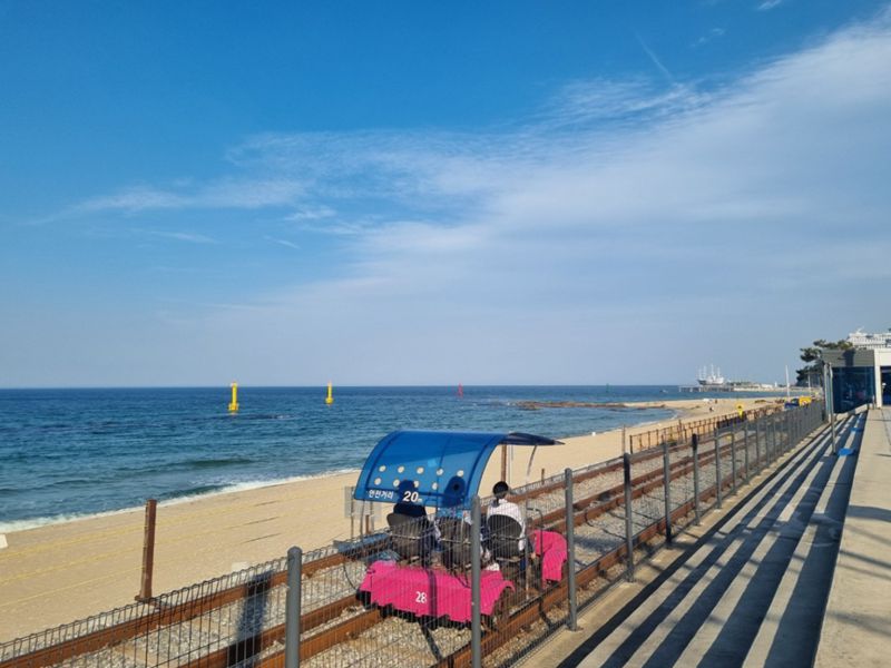 정동진레일바이크