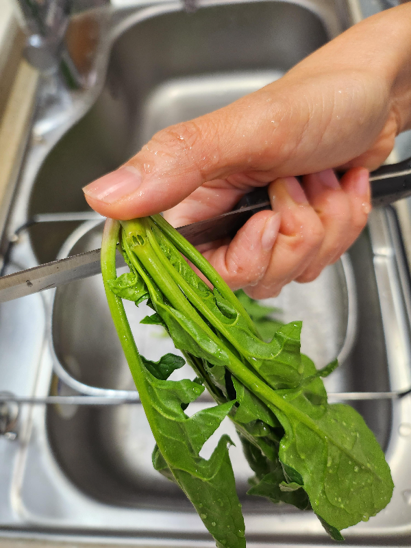 시금치 손질하는법