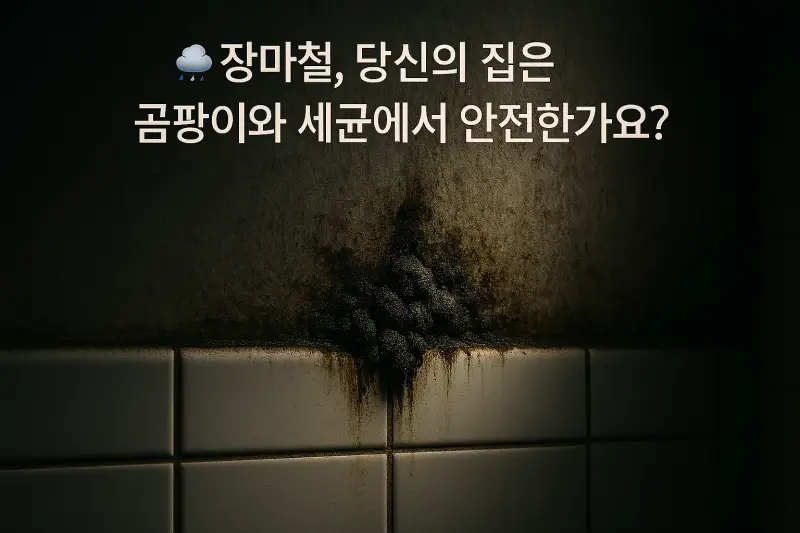 여름철 식중독&middot;곰팡이 걱정 뚝! 실내 위생 예방법