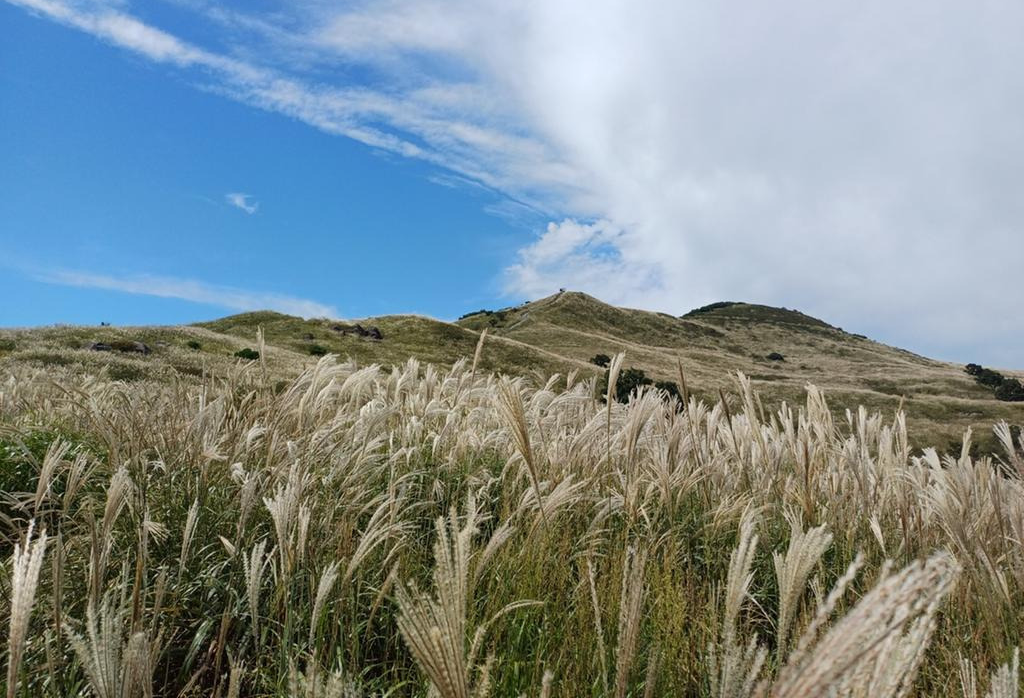 황매산 억새축제