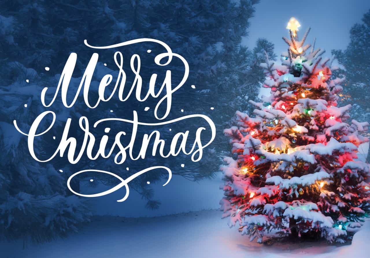 크리스마스-트리