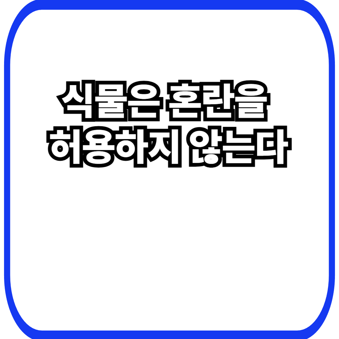 식물 내부 질서 유지에서 시작되는 안정 전략, 무너지지 않기 위해 먼저 정리하는 생존 방식