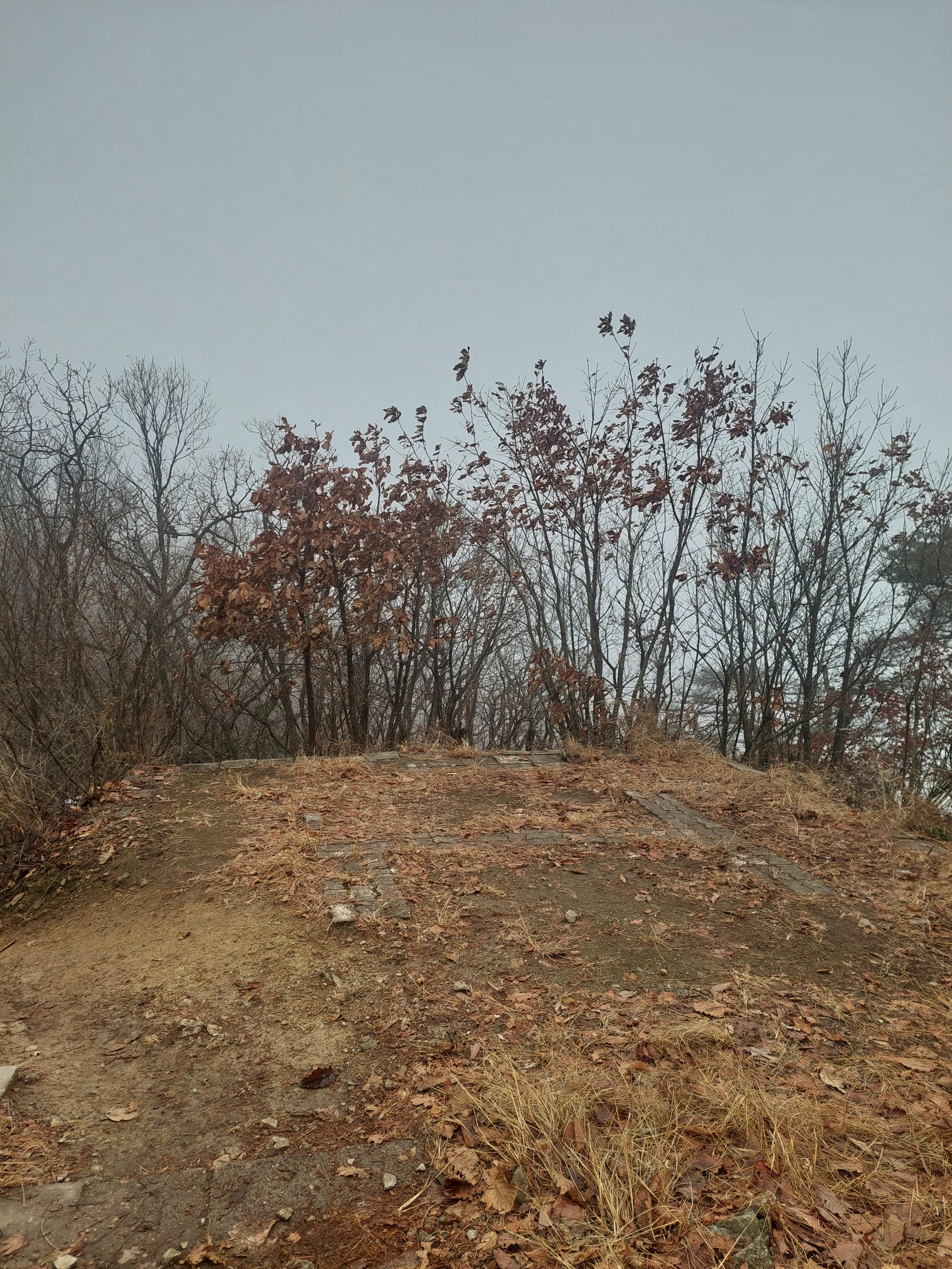 검단산